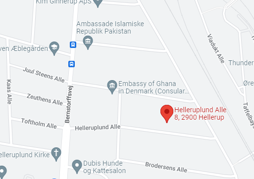 Google_Maps_Lokation